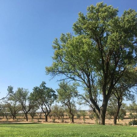 Colmenar de Oreja Finca El Relax מראה חיצוני תמונה