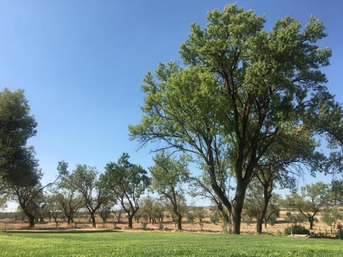 Colmenar de Oreja Finca El Relax מראה חיצוני תמונה